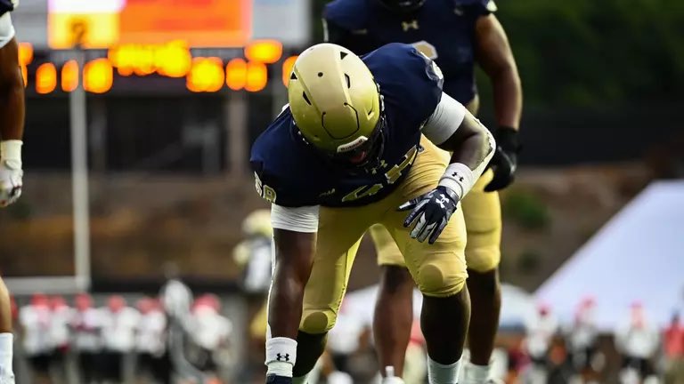 Asa Johnson tweet media