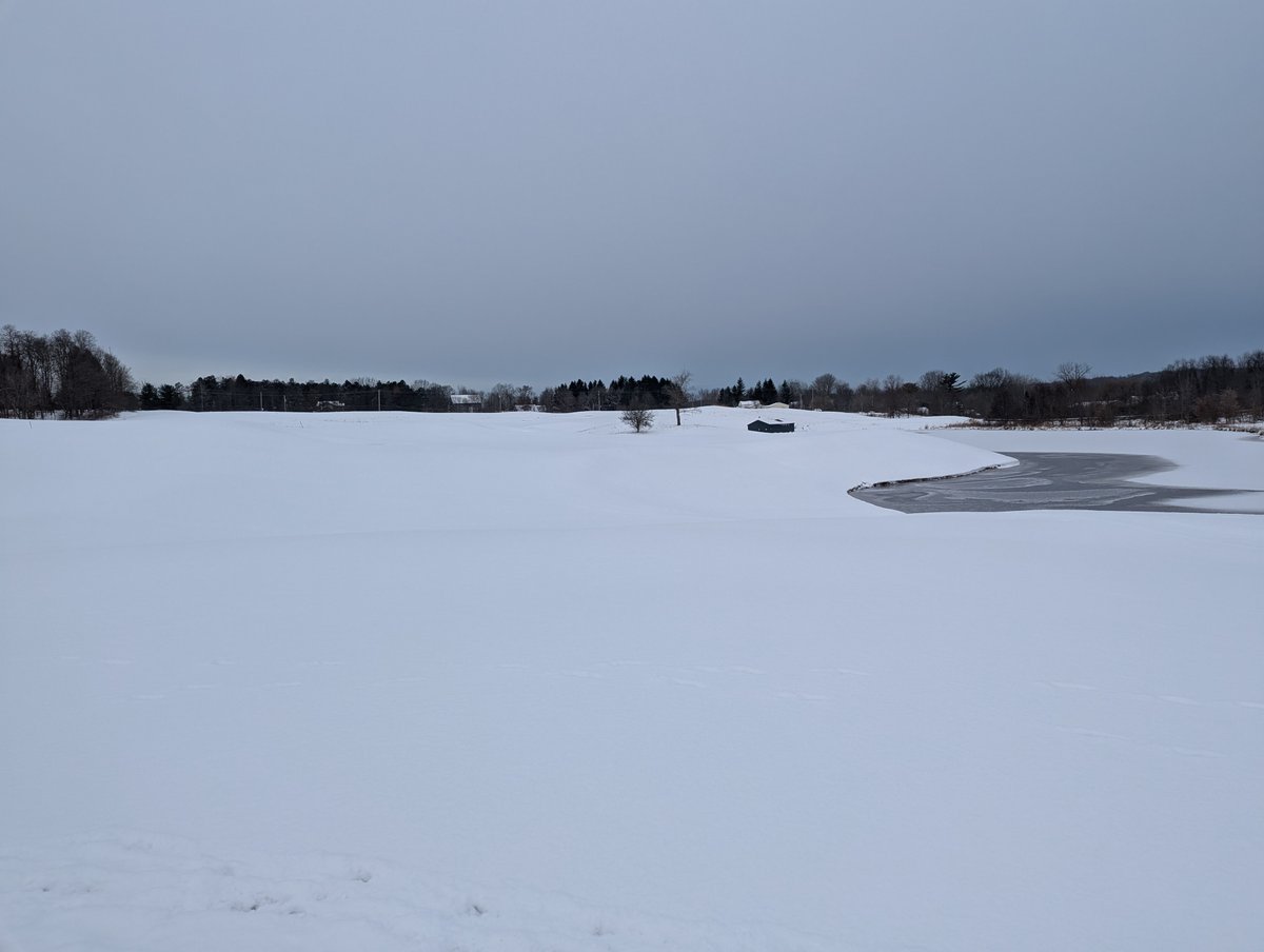 Cold and quiet today. <a href="/TheMayfieldSR/">The Mayfield Sand Ridge Club</a>