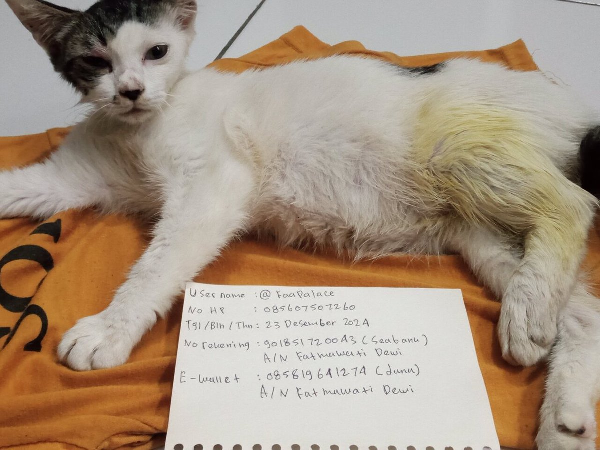Pets 🐈🐕🦺🐇🐦 Fess tweet media