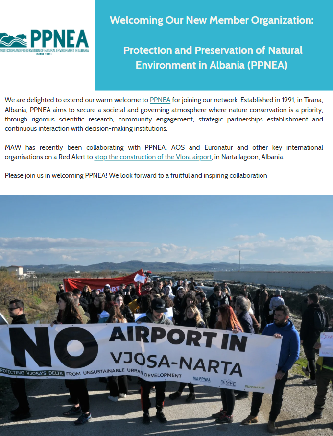PPNEA has joined the <a href="/WetlandAlliance/">The Mediterranean Alliance for Wetlands</a>, a network of 29 organizations in 18 countries. Albanian wetlands, such as the Vjosa-Narta PA, face immense threats from unsustainable developments and mass tourism, through this alliance, we strengthen efforts to protect these ecosystems.