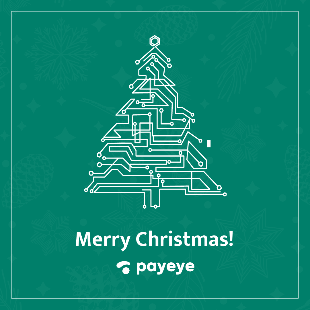 PayEyeGlobal's tweet photo. On the occasion of Christmas, we wish you beautiful moments at the Christmas Eve table, the fulfillment of your dreams, and magical experiences in the upcoming New Year!🎄🎄🎄 https://t.co/JnjlDQ1MEz