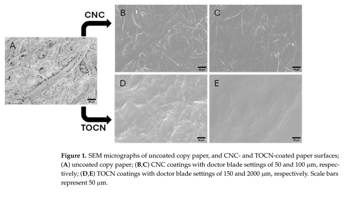 #NewPublication: Cellulose nanomaterials have potential to be used in renewable packaging, but more research is needed into their properties as oxygen and grease barriers. See the research at research.fs.usda.gov/treesearch/687… research.fs.usda.gov/treesearch/687…
#ForestProductsLaboratory