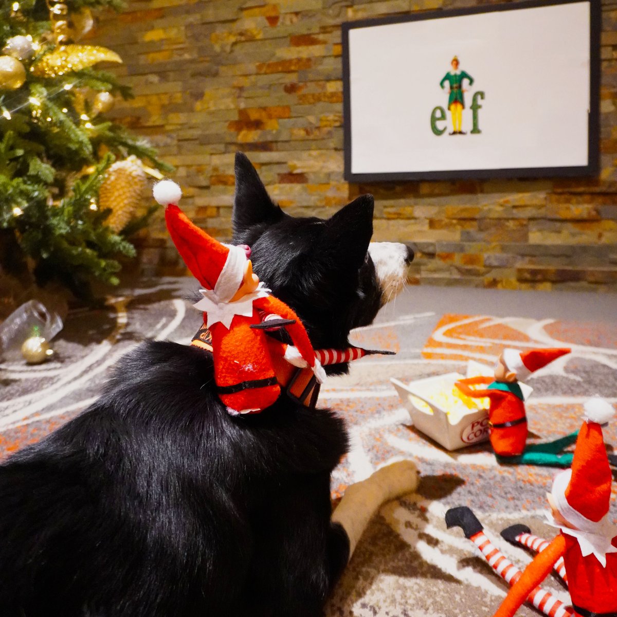 The Derrick Club tweet media