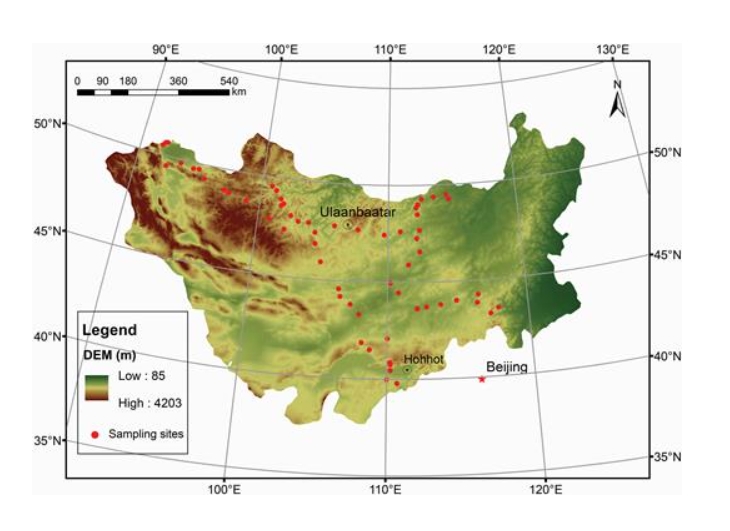 JPlantEcol's tweet photo. It is important to understand the role of plant functional groups (PFGs) in mediating the impact of environmental conditions on ecosystem functions and biodiversity.
#Climate #CommunityComposition #PlantFunctionalGroups
Details: https://t.co/6cM8GK0an0 https://t.co/F2wooecjRh