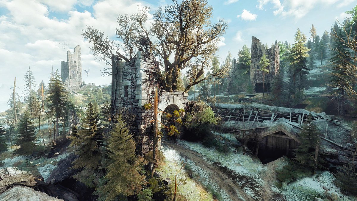 maddog7794's tweet photo. The Witcher 3: Wild Hunt https://t.co/Fz9NTSCHGh