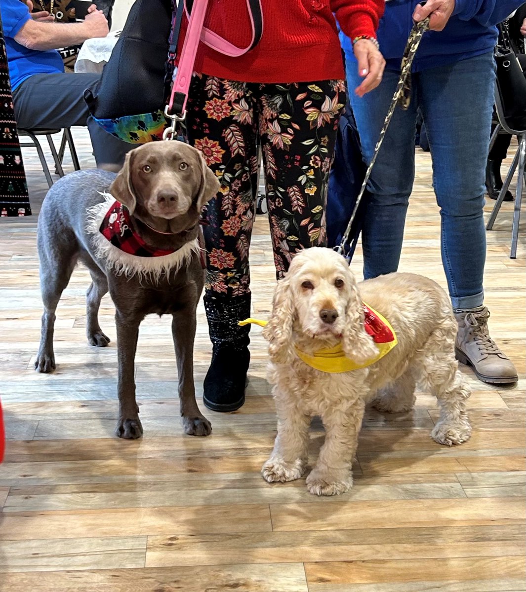 Voluntary Services tweet media