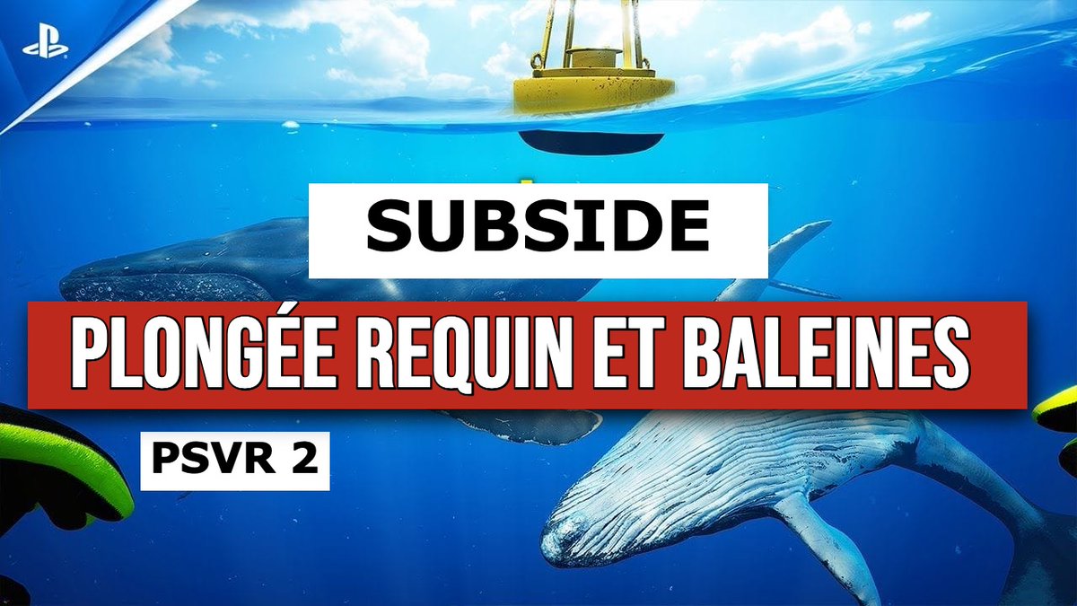 Herbi_VR's tweet photo. Plongée avec un requin blanc et des baleines à bosse ca vous dit ? C'est possible grâce à #subside de @Khena_B  sur #psvr2 ! 🦈🐳🌊

https://t.co/R8iZaP9liA  🔥 https://t.co/CWKPvAyRMa