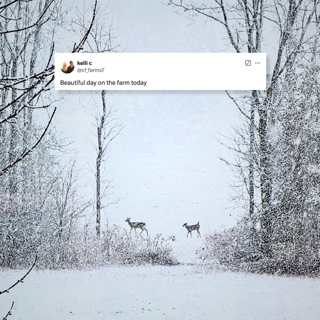 bw_fusion's tweet photo. 'Tis the season. Some of the most breathtaking views are the ones you don’t have to travel far for. 🌱
Grateful for the quiet beauty that surrounds us every day on the farm, where the horizon feels endless, and the moments of peace are priceless. Tag us in your #farmview pics.
📷: @cf_farms7
#bwdifference #betterbiology #farmprofitability #agriculture #farmlife #agronomy #cropnutrition #leadersinthefield #bwfusion #sustainablefarming #biologicals