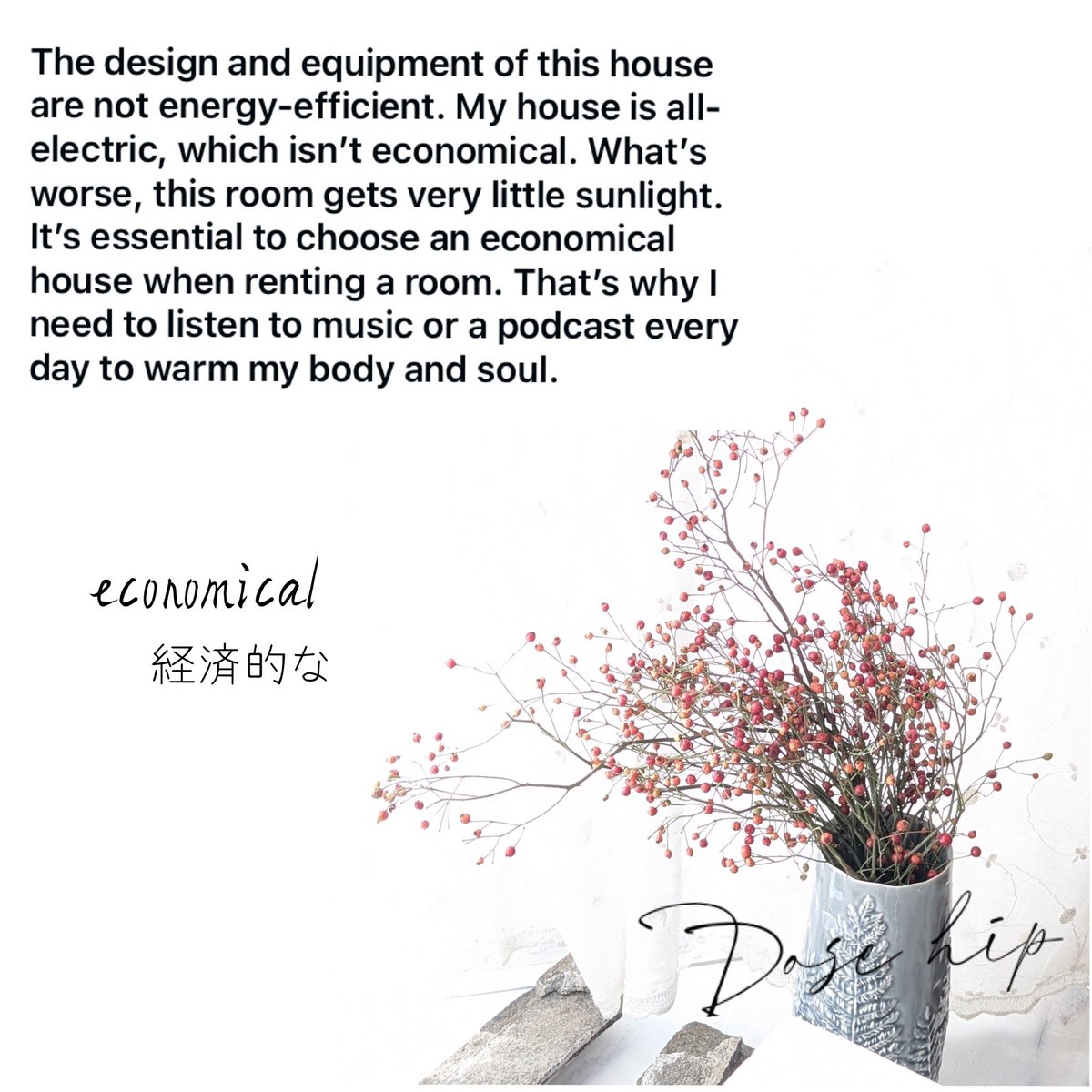 Miyablooming's tweet photo. #英語手帳 #ecooomical
#むすびえサンタプロジェクト
#withson #リスパス
#duolingo
The design and equipment of this house are not energy-efficient. My house is all-electric, which isn’t economical. What’s worse, this room gets very little sunlight. https://t.co/D5fiquxejq