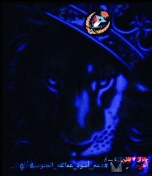 ﷽🕋
#𓄂ģ𓀛в̃̾
<a href="/7tttJ/">ᘓɹ̇ɹ̤jɺI g͠ᓄɹɹɹ</a>
<a href="/08IIl/">سلمـۦـٖٓ͡ـىٰ ✺⇣</a>
<a href="/2J9Jl/">شجن 'ے</a>
@cjic__
<a href="/zozln/">حسان</a>
<a href="/G6ll6/">وحيـد⁩ بـغربتـي ◐</a>
<a href="/C33_I/">꧁𝑪𝑳𝑰𝑽𝑬</a>
<a href="/srf_7y/">شرف عيسى</a>
<a href="/1GiiiG/">•• 🎀 𝒢𝒾𝒢𝒾 𝐸𝒷𝑒𝒾𝒹 🎀 ••</a>
<a href="/1EENE/">ᴇꜱᴍᴀɪʟ 💙</a>
<a href="/_Hulk1/">🇵 🇦 🇱 🇪 🇸 🇹 🇮 🇳 🇪</a>
<a href="/1vvael/">vael</a> 
<a href="/9n0be/">قلُ̜̌ب∇آلُآسدِ𓄂☆</a>
<a href="/An_q_q/">🎼Angela ‎♪</a>
<a href="/iim329/">محمد احمد</a>
<a href="/_Solav_/">سولاف Solav ll</a>
<a href="/9BBSS/">ترنيم</a>
<a href="/1ck001/">الزاجل الأزرق</a>
@pphhpk
<a href="/9OOOY/">سموالفخامۿ</a>
<a href="/Lea_Dhai/">🦉𝘗𝘳𝘪𝘯𝘤𝘦𝘴𝘴 𝘓𝘦𝘢𝘩🎖𝟭𝟲𝟬𝗞🌞</a>
<a href="/WAljndal/">وليد يحيى محمد الجندال</a>
@soo_ss55
<a href="/Sc2017W/">SC2017</a>
<a href="/noorhoub/">(نــور بنت وايــ💛ـل) 🇸🇦</a>
<a href="/smy58881/">دينار الجنوب العربي</a>
<a href="/al_hmzy_70/">اعزالناس اليزيدي</a>
<a href="/Fatima_a_z2/">فطيمة بنت الأكابر 🐅</a>
<a href="/conva5llaria/">بـديـــل🌿𝐜𝐨𝐧𝐯𝐚𝐥𝐥𝐚𝐫𝐢𝐚🌿</a>
<a href="/alhassany1964/">محمد الحسني</a>