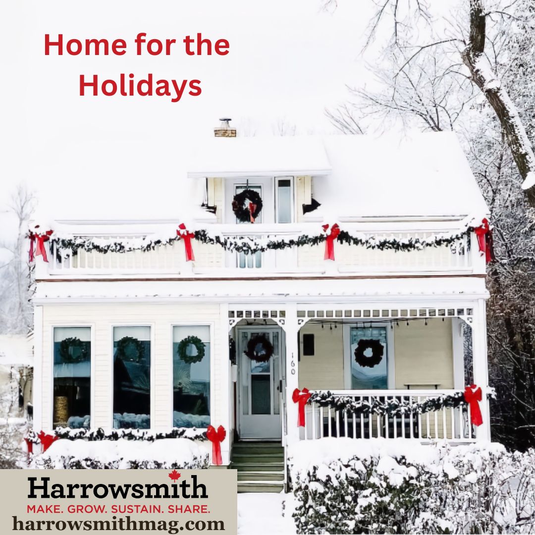 Home for the Holidays

For Jody Arsenault and her family, decorating their Steinbach, Manitoba home for Christmas is a tradition of love

harrowsmithmag.com/53753/home-for…