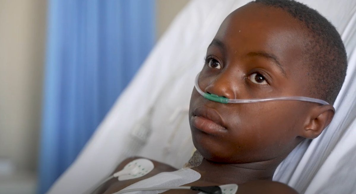 Social Impact Israel tweet media