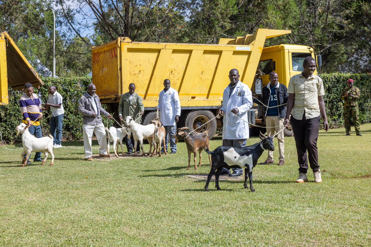 William Samoei Ruto, PhD tweet media
