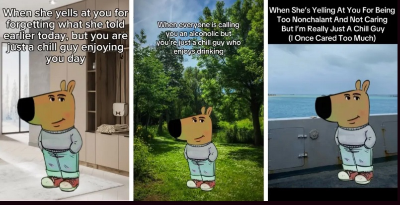 Chill guy meme
 #CHILLGUY #chillguylistbitget