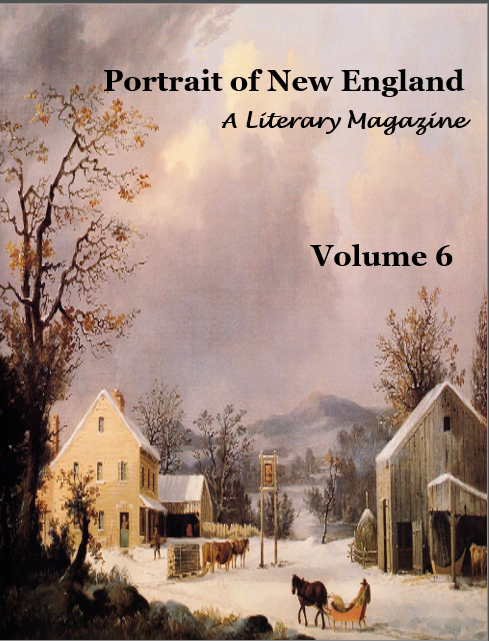 portraitne's tweet photo. The latest edition of Portrait of New England is live! Our Sixth Issue features captivating stories & thought-provoking poetry from unique voices you won’t want to miss. ✍️✨
Read Issue Six here: https://t.co/2k6vAyhxqZ
#newlitmag #poetry #poetrycommunity #newengland #fiction https://t.co/ttDjlt1TRz
