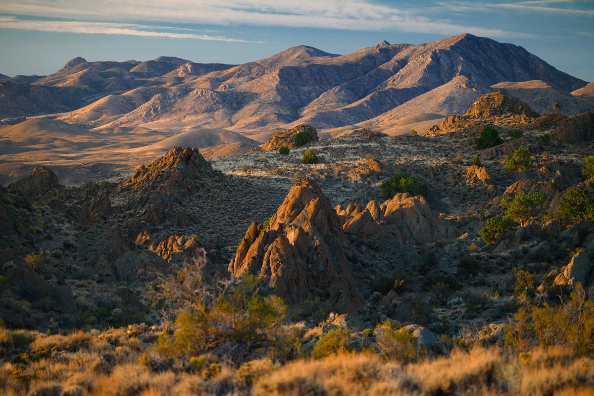 Rebelle Rally tweet media