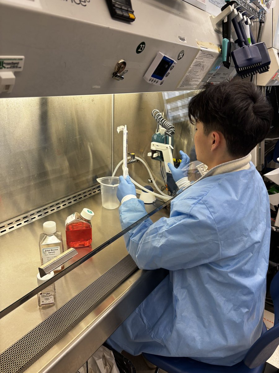 Irene 👹 tweet media