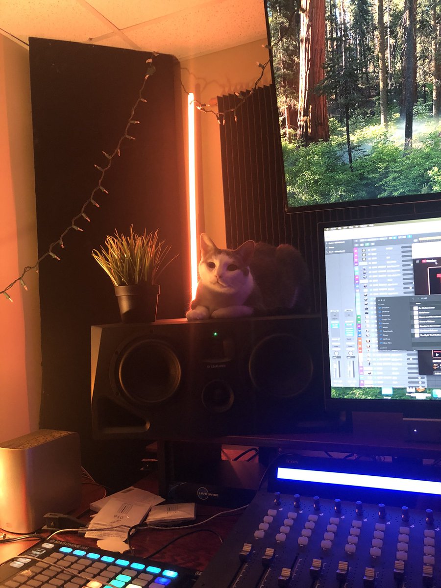 Eric Gordon Berg | Poser Composer tweet media