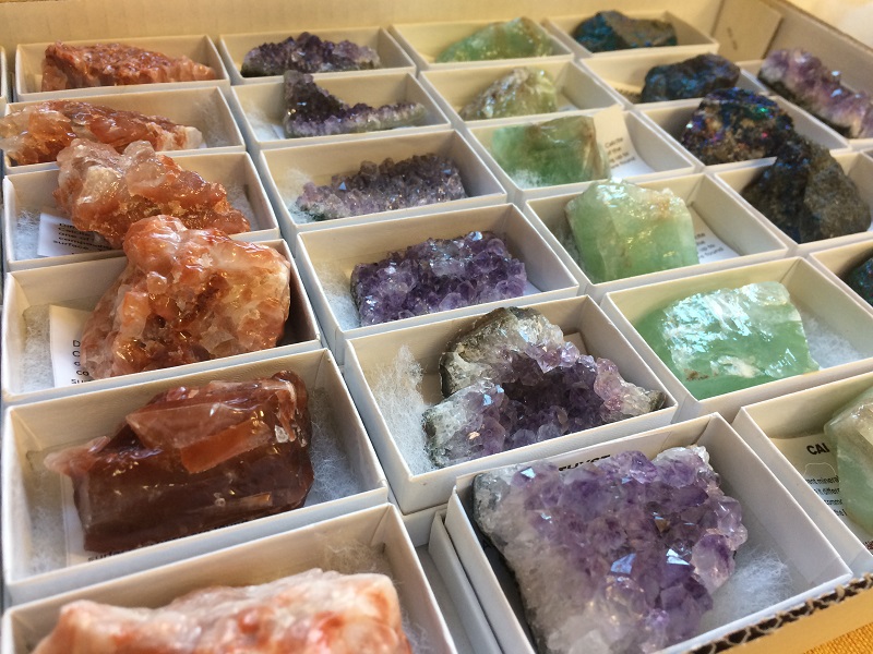 ErnieMillerNatureCtr tweet media