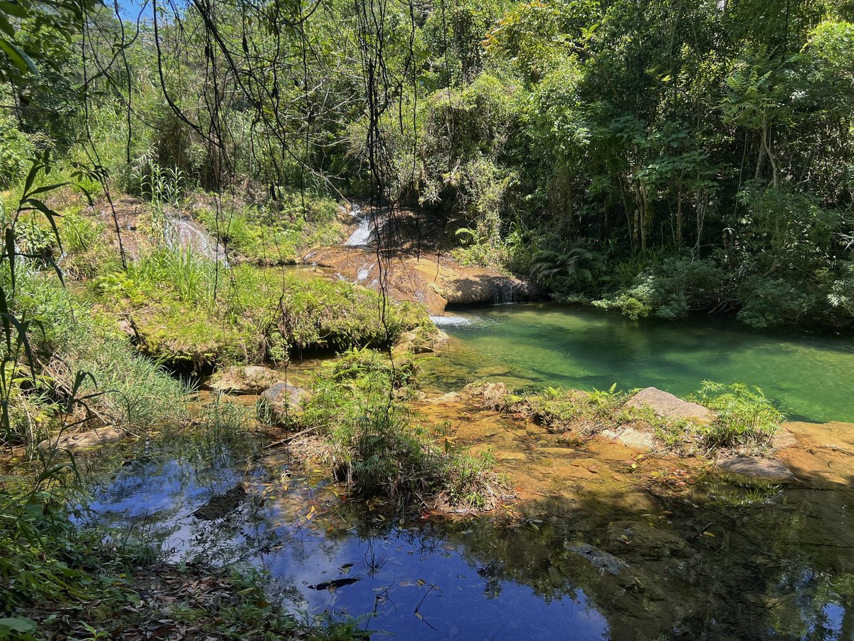 Conoce qué hace único a Topes de Collantes según sus visitantes😉👇
facebook.com/share/p/19uovs…
.
.
#TopesDeCollantes #DestinosGaviota #GaviotaTurismo #Naturaleza #Viajes #Trip #Fotografía #Trinidad #Vida