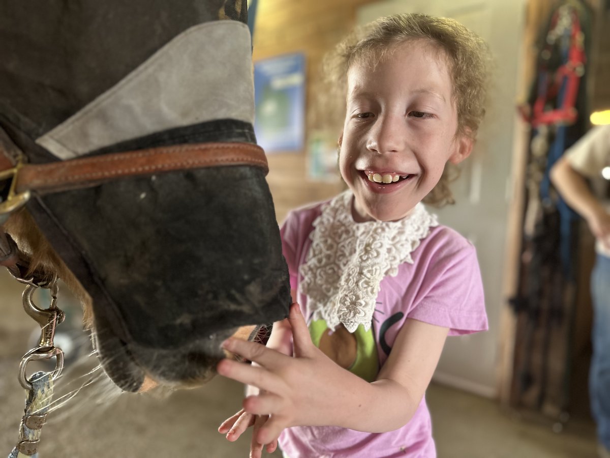 leiadoc's tweet image. Leia turned 10 last weekend! I can't say it better than Stephen Unwind, so I will paraphrase him: Se's never said a word in her life, but has taught me so much more than I've ever taught her.