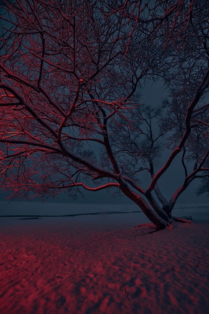 salt (@ancilladominii) on Twitter photo 