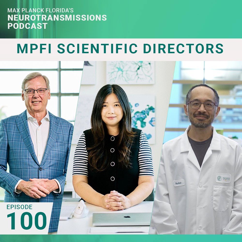 Max Planck Florida Institute for Neuroscience (@mpfneuro) on Twitter photo In our 100th podcast episode, we reminisce about our podcast journey and interview MPFI's Scientific Directors, David Fitzpatrick, <a href="/Ryohei_Neuro/">Ryohei りょうへー</a>, and <a href="/LinTianPhD/">Lin Tian, PhD</a> about changes in neuroscience since episode 1 in 2016. Thanks to all who listened. Watch YT: ow.ly/emFj50UvoJQ In our 100th podcast episode, we reminisce about our podcast journey and interview MPFI's Scientific Directors, David Fitzpatrick, <a href="/Ryohei_Neuro/">Ryohei りょうへー</a>, and <a href="/LinTianPhD/">Lin Tian, PhD</a> about changes in neuroscience since episode 1 in 2016. Thanks to all who listened. Watch YT: ow.ly/emFj50UvoJQ