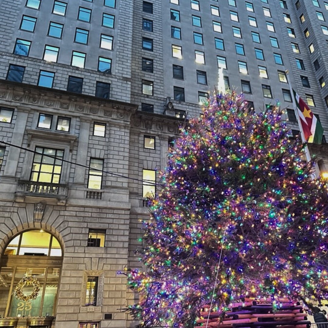 ACE_BMCC's tweet photo. ❄️🎁Happy Holidays from @ACE_BMCC  🎉🎄

Wishing you and your loved ones a wonderful few days as we close out 2024.

We look forward to seeing you in the New Year. https://t.co/oS9Tkxyw3j