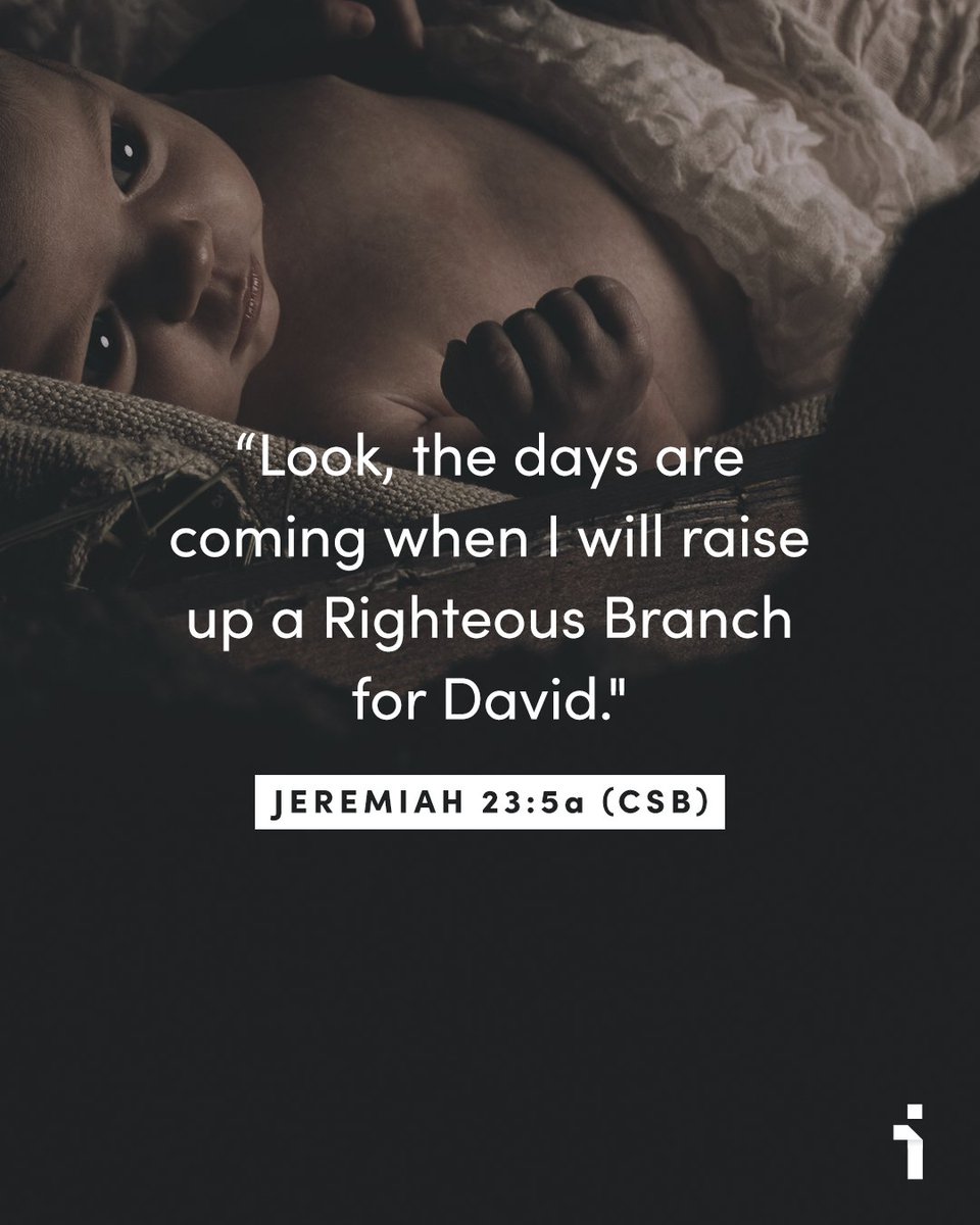 Lifeway (@lifeway) on Twitter photo 