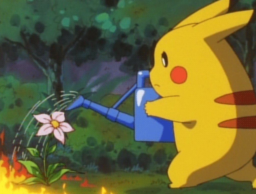 pikachu is doing his best