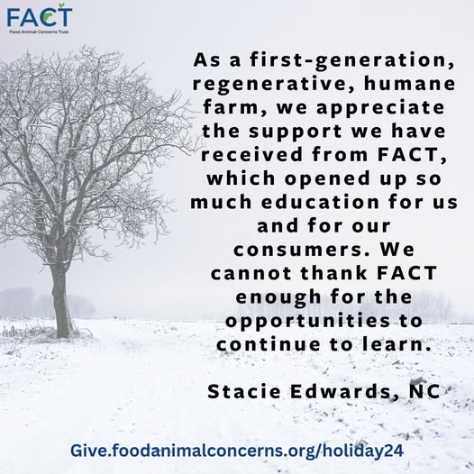 Talk_With_FACT's tweet image. This holiday season, support FACT and help farmers like Stacie create better lives for their animals, educate consumers, and advocate for safe, healthy food. 💚Our latest blog post describes explore simple ways to give. shorturl.at/dOXKr