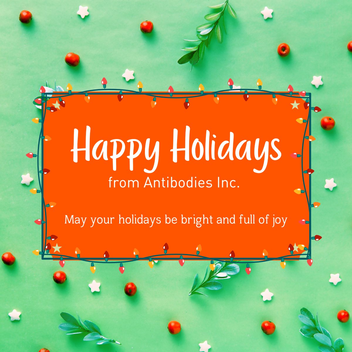 antibodiesinc's tweet image. As we reflect on the past year, we’re grateful for the opportunity to support scientific progress and innovation. Thank you to our customers, partners, and team for your continued trust and collaboration.
Here’s to advancing science together in 2025!