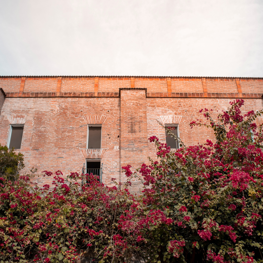 Este es uno de nuestros destinos favoritos por toda su tradición y cultura, ¿puedes adivinar su nombre? Si alguna vez has probado una tuba, seguro sabrás en dónde nos encontramos 🤭

Reserva hoy en este destino y quédate en Gamma.