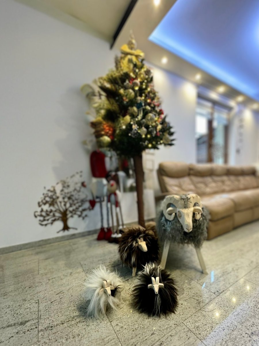 TanneryPoland's tweet image. 🎄✨ Our wooden sheep with hand-carved details, wrapped in natural sheepskin, are the perfect Christmas decoration! 🐑

#TanneryPoland #AdamLeather #ChristmasDecorations #WoodenSheep #NaturalDesign #Sheepskin #HolidayMagic