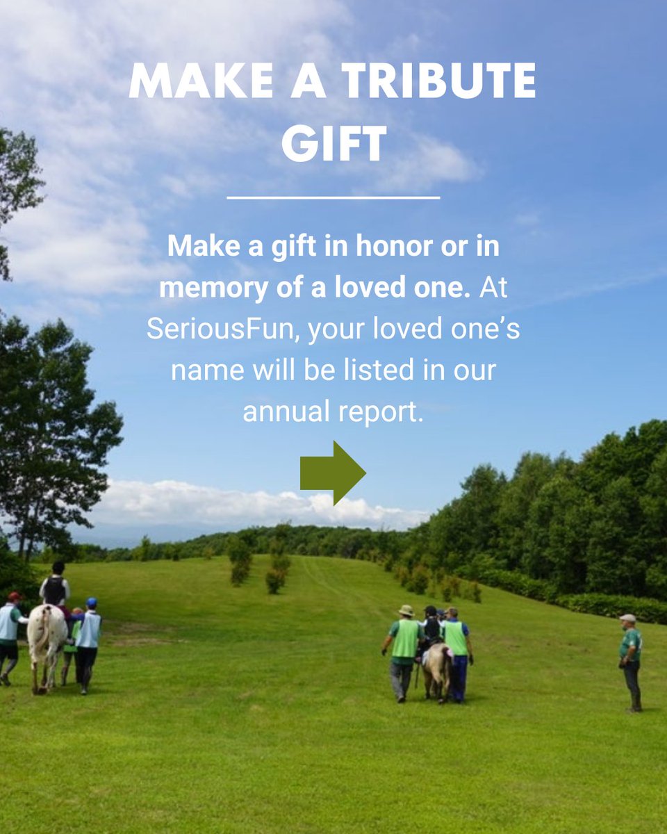 SeriousFun tweet media