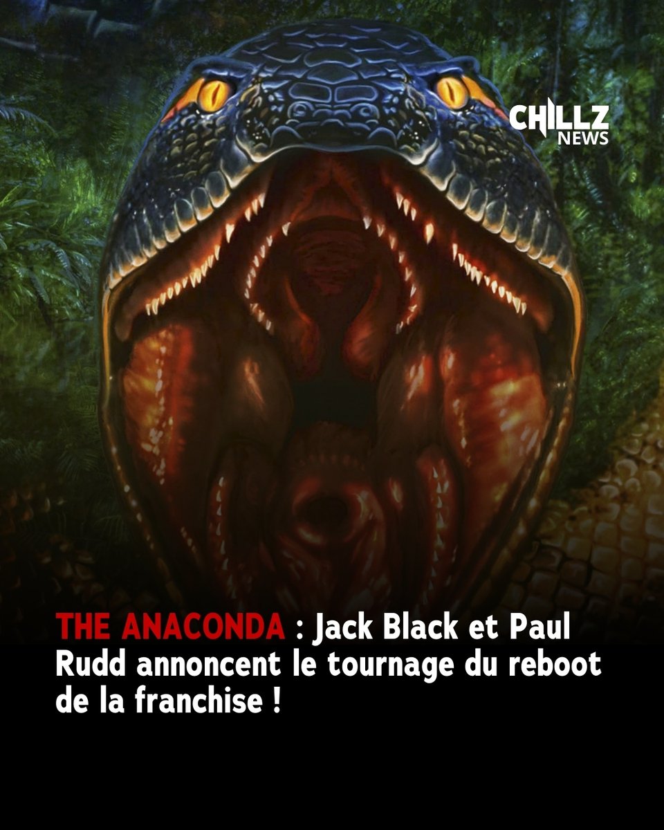 chillz_horreur's tweet photo. Un nouvel Anaconda en tournage avec Jack Black et Paul Rudd !

#anaconda #killersnake #jackblack #paulrudd #horreur https://t.co/I34q9fMpV4