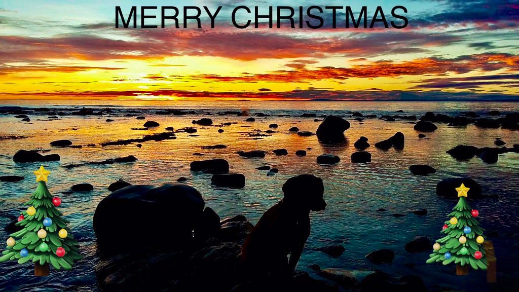 Just taking a moment to wish everyone that sees this a Very Happy Christmas 🎄from the North of Scotland 🏴󠁧󠁢󠁳󠁣󠁴󠁿 🐾 🌊 

Thanks for dropping by, your friendships &amp; just the fact you like some of my pics…. In a world of negativity and mayhem… there are still lovely humans around!🙏🫶🏻