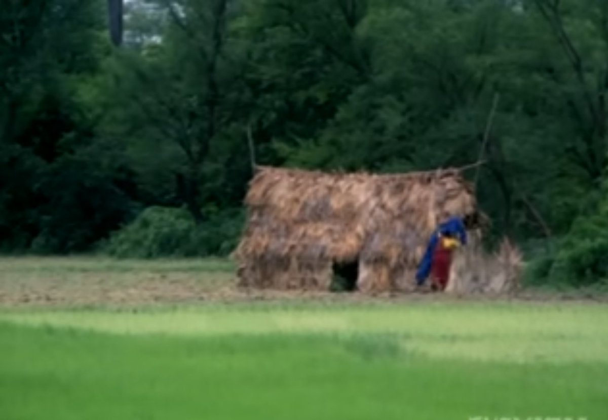 TeluguJambuDwip tweet picture