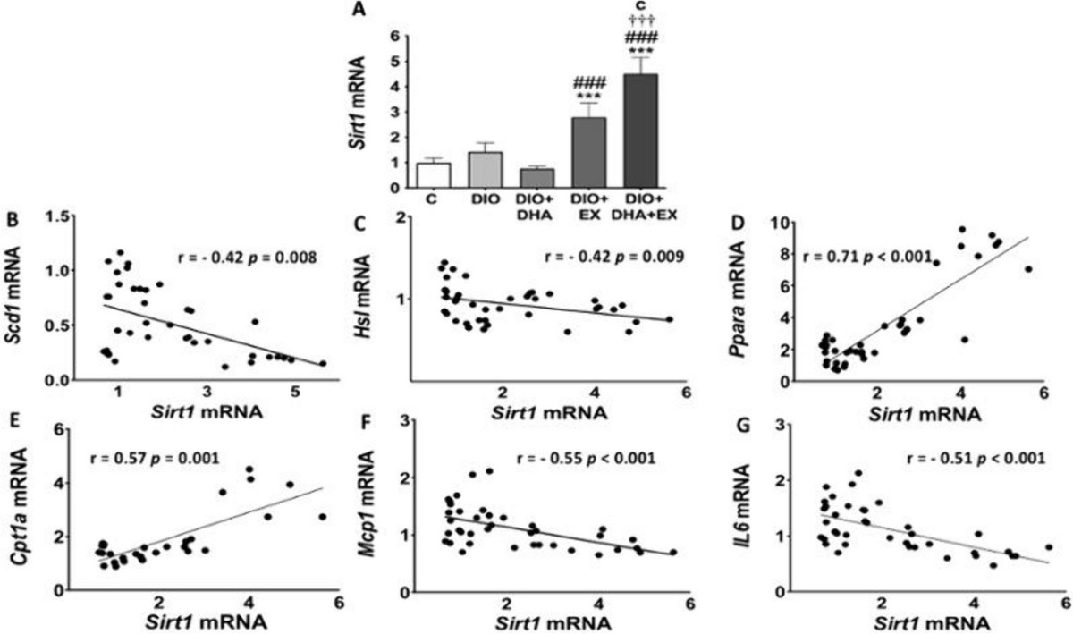 JPBY_official's tweet photo. #SIRT1 and #FOXO1 role on #MASLD risk: effects of DHA-rich n-3 PUFA supplementation and exercise in aged obese female mice and in post-menopausal #overweight/obese women 
#post-menopause #DHA #Exercise_training #Aging
@unav @SaludISCIII @CIBER_OBN
https://t.co/D2FTC7SQMJ https://t.co/QvMznRJgZ4