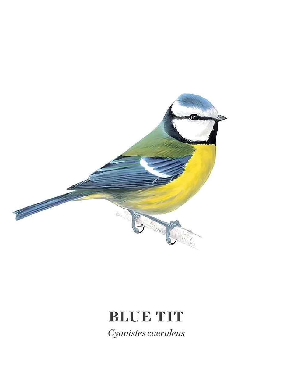 Blue Patch | Sustainably-Minded Business Community tweet media