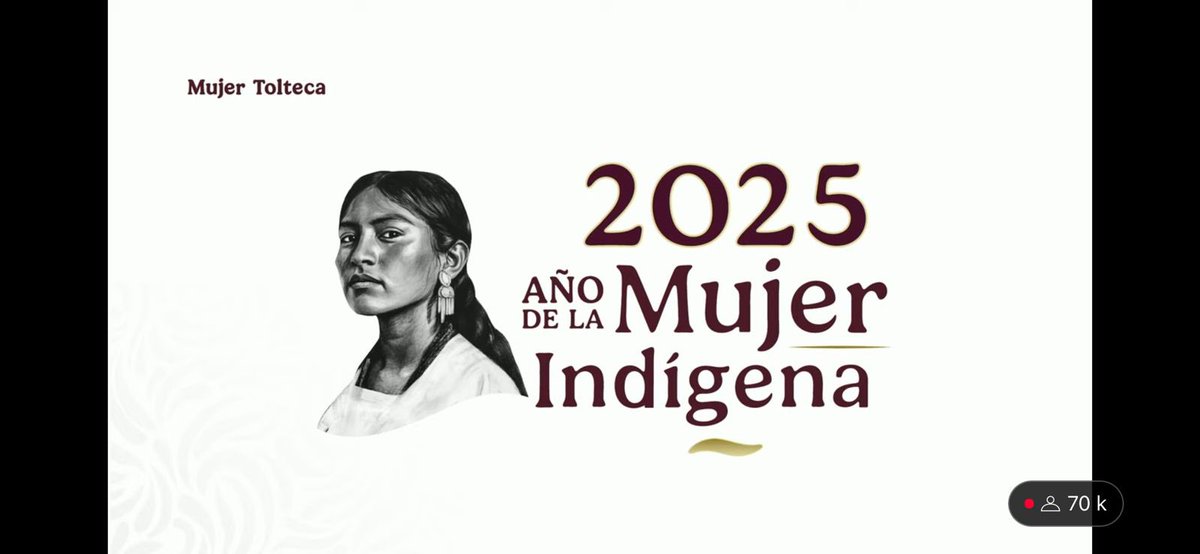 jenarovillamil's tweet photo. #MañaneraDelPueblo. Las ilustraciones de las cuatro mujeres indígenas que le darán vida a la imagen del #2025 #AñoDeLaMujerIndigena, https://t.co/F0IOnViFl6