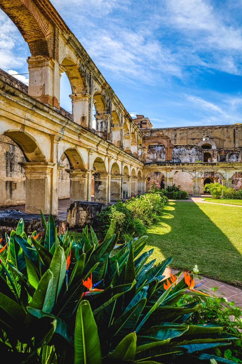 Alex G Perez tweet media