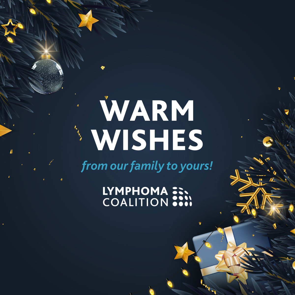 ✨ Warm wishes to all this holiday season. 
 
Gratitude is extended to every individual, organisation, and community working to improve the lives of those affected by lymphoma. 
 
May this time of year bring moments of reflection, connection, and hope.