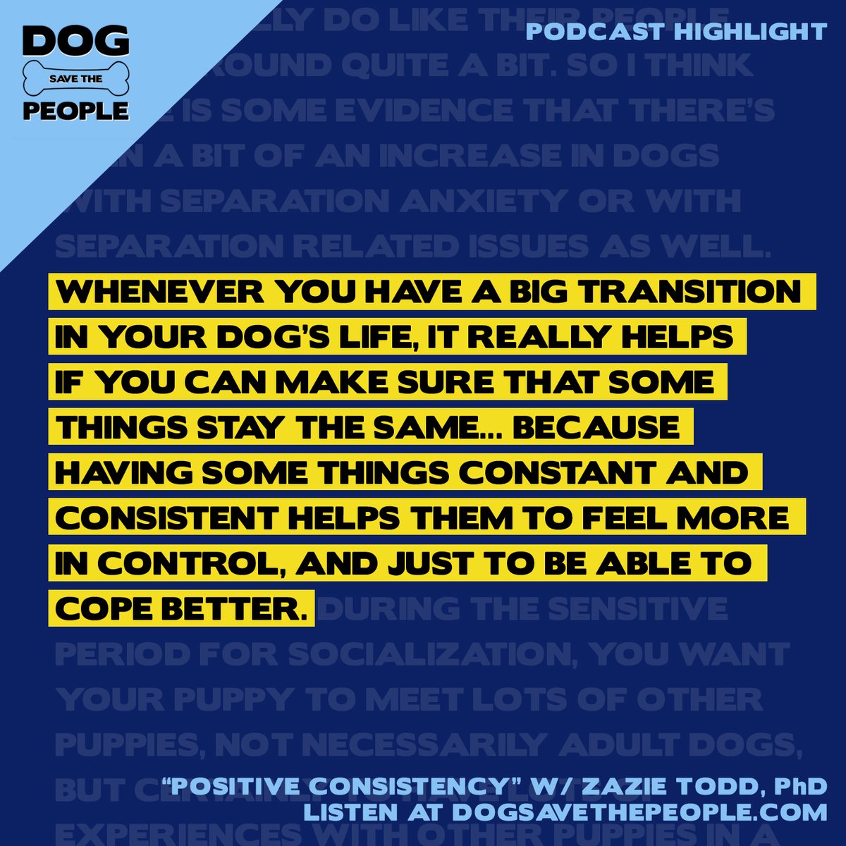 ICYMI - Check out our new episode with @ZazieTodd about her new book "Bark!" which looks at digestible scientific insights regarding helping your anxious, fearful, or reactive dog.

Apple - podcasts.apple.com/us/podcast/pos…
Spotify - open.spotify.com/episode/6r2WbI…