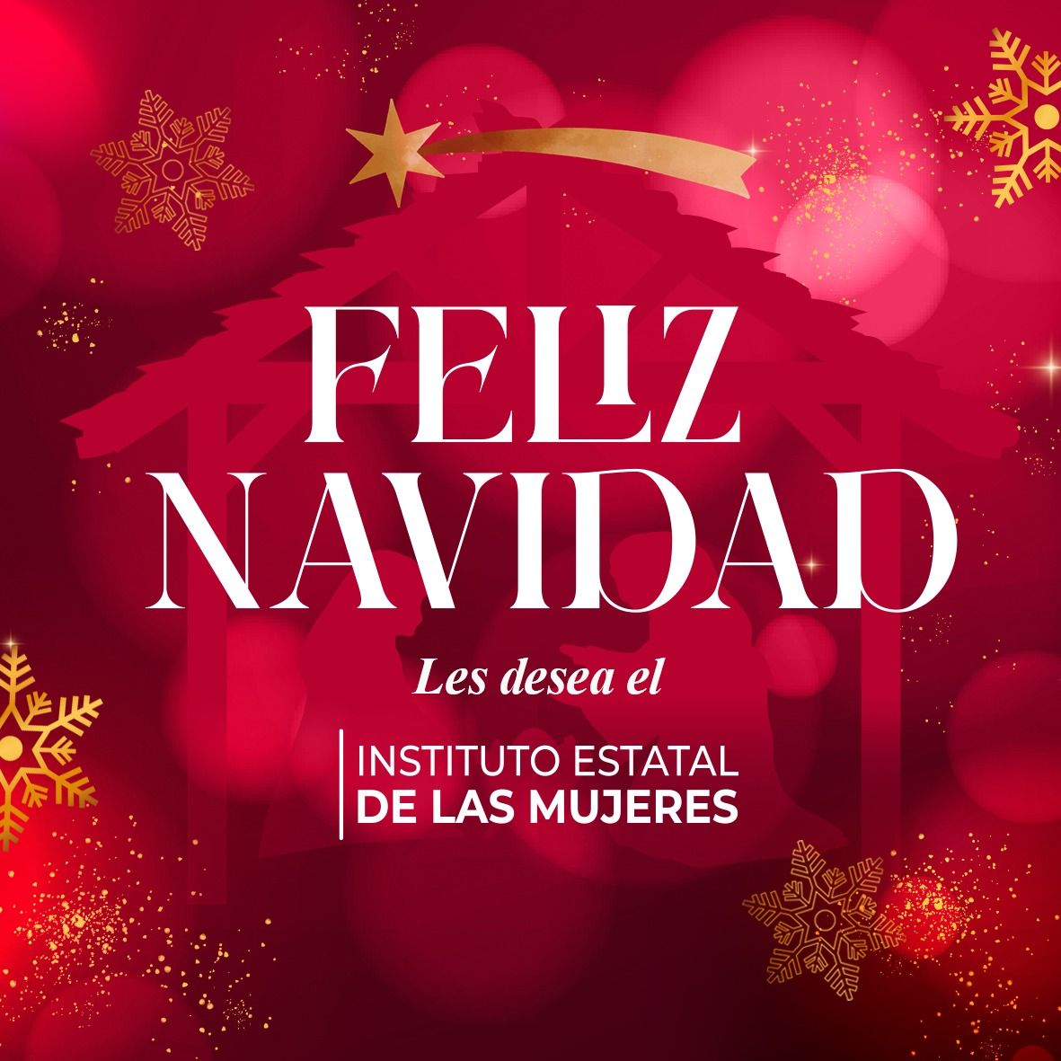 🎄✨ Feliz Navidad ✨
A todas y todos, les deseamos una Navidad llena de paz, amor y esperanza. Que este tiempo renueve sus fuerzas, inspire sus sueños y nos acerque a un mundo más justo e igualitario. 
#FelizNavidad #Igualdad #NuevoIEM #IEMMujeres