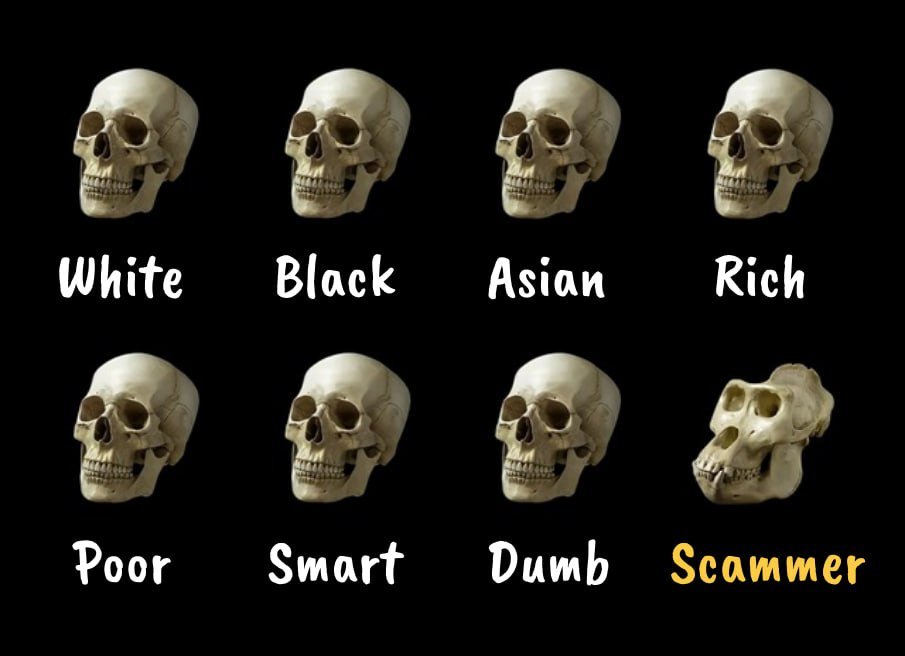 ❗Attention, XYZ Fam!

Scammers have been on the rise, targeting our community. Falling for their tricks could cost you your funds. Let’s stay one step ahead!

🔔Stay Safe — Follow These Rules:
🔤Never share your seed phrase (12 words)!
🔤Ignore messages or links from anyone
