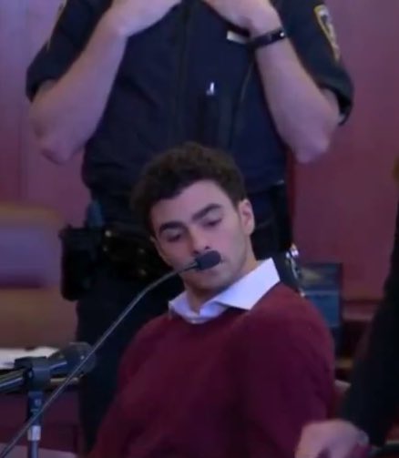 <a href="/ProudSocialist/">Power to the People ☭🕊</a> After his unlawful detainment, Luigi plans leave his art school and write a book about “his struggle”.