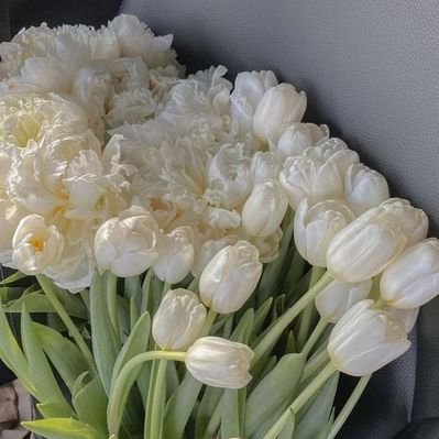 I'm indebted to you for your friendship. Thanks, bro. Thanks for the insightful content. It's been enlightening! Freddie Skrabanek