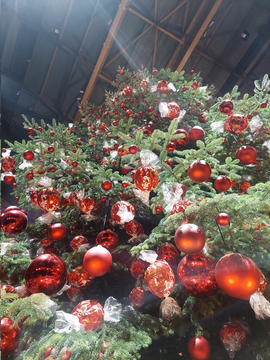 Agnieszka (Aga) Słowik tweet media