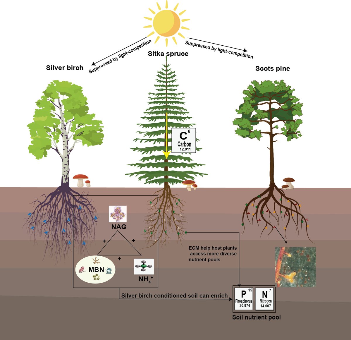 Journal of Applied Ecology tweet media
